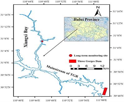 Environmental factors indirectly reduce phytoplankton community stability via functional diversity